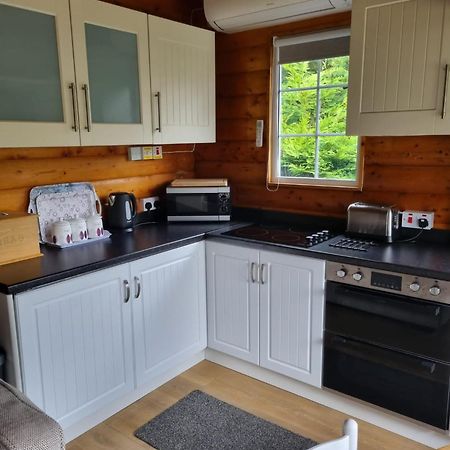 Mountain View Log Cabin In Snowdonia Nr Coed Y Brenin Tanygrisiau Ngoại thất bức ảnh