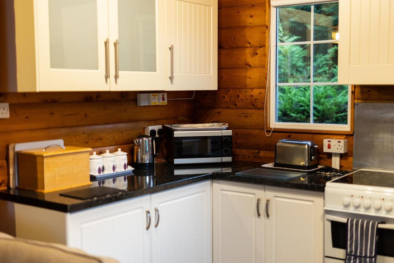 Mountain View Log Cabin In Snowdonia Nr Coed Y Brenin Tanygrisiau Ngoại thất bức ảnh