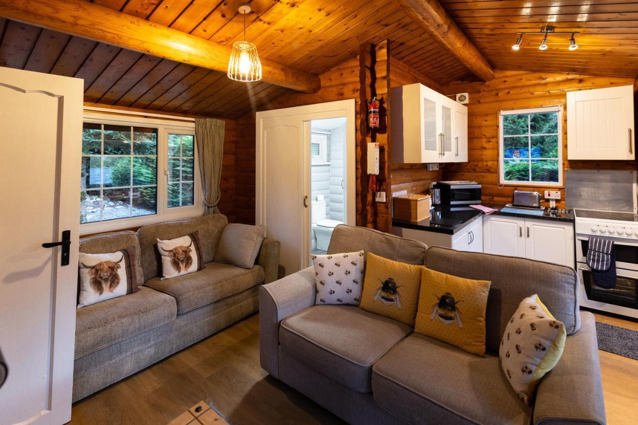 Mountain View Log Cabin In Snowdonia Nr Coed Y Brenin Tanygrisiau Ngoại thất bức ảnh